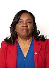 Foto oficial de Professora Elisete