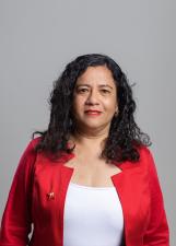 Foto oficial de Professora Hilvany